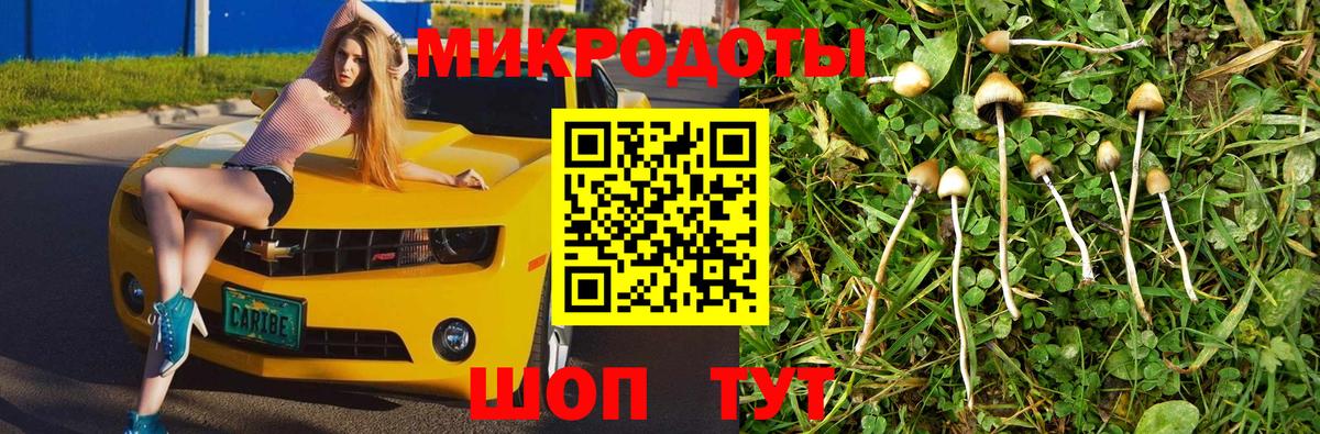 Псилоцибиновые грибы Psilocybe  Вход с VPN  Заводоуковск  Псилоцибиновые грибы Magic Shrooms 